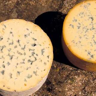 La route des 2 fourmes : Montbrison et Ambert