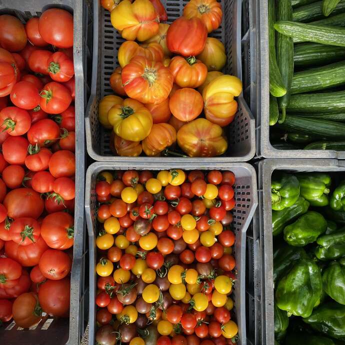 GAEC Les jardins Rambertois - Delimard/Cholle/Gayard