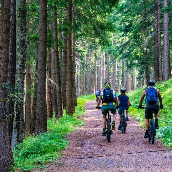 N° 57 - Le circuit pour la famille - Espace VTT-FFC Massif de Bois Noirs