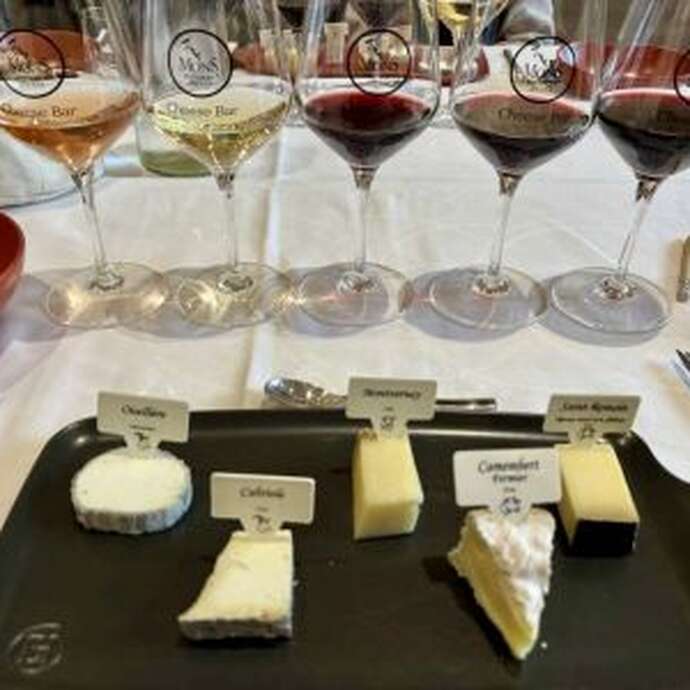 Immersion terroir de la cuve à la cave - Mons x Reniteo