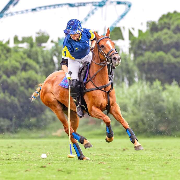 Tournoi de polo - Women polo series