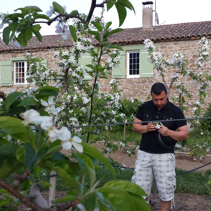 Les vergers Dumoulin