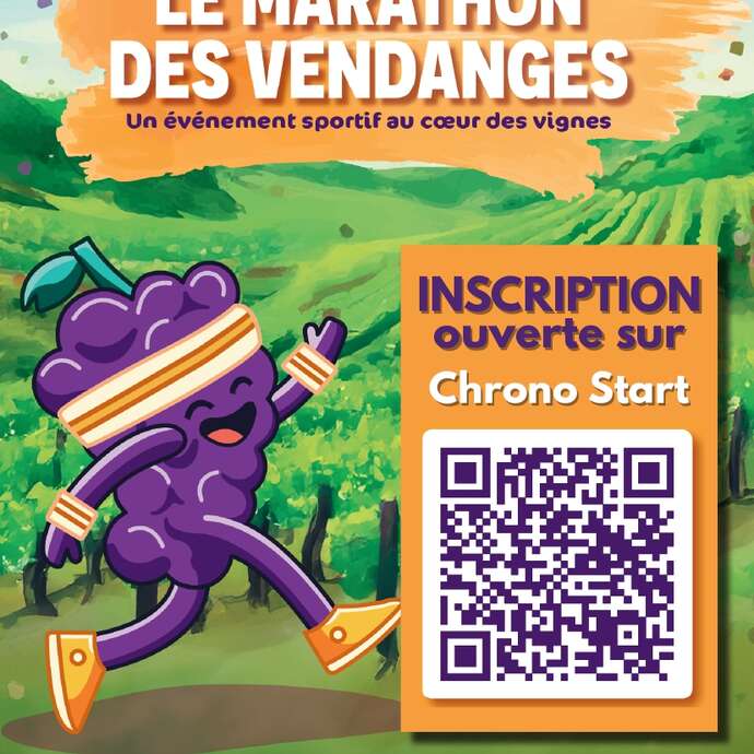 Marathon des vendanges 2ème édition
