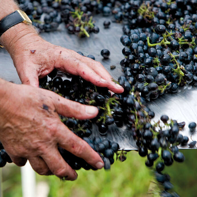 Domaine Pierre Gaillard