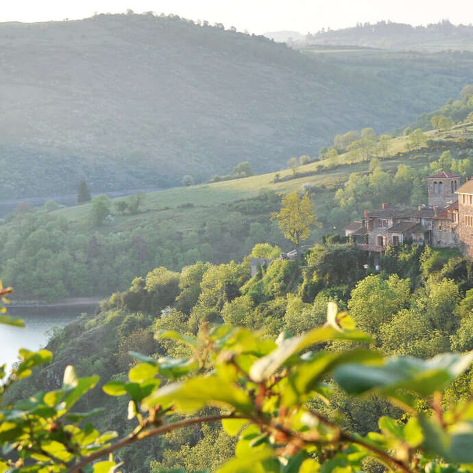 41ème marche des Genêts