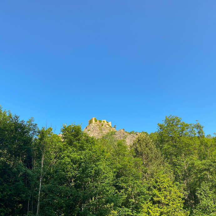 Marche des rossignols