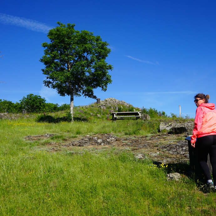 Le Puy de Chavanne - Les Orgues basaltiques