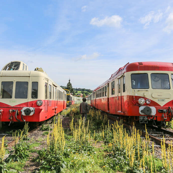 Chemin de Fer du Haut-Forez - Touristenzug