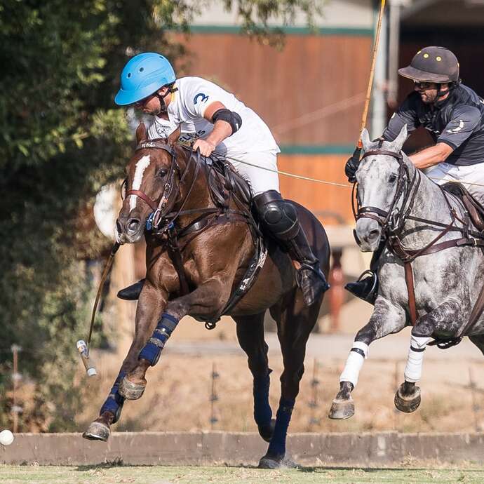 Tournoi de polo - Women polo series