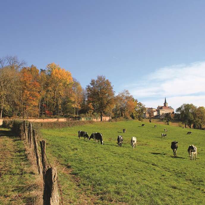 L'excursion montagnarde