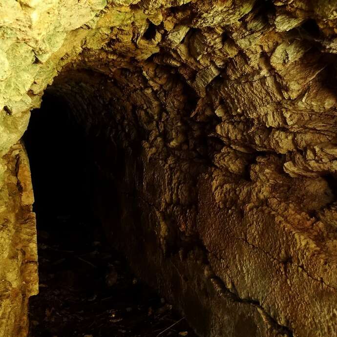 Parcourir les sentiers de Chagnon - La Cave du Curé