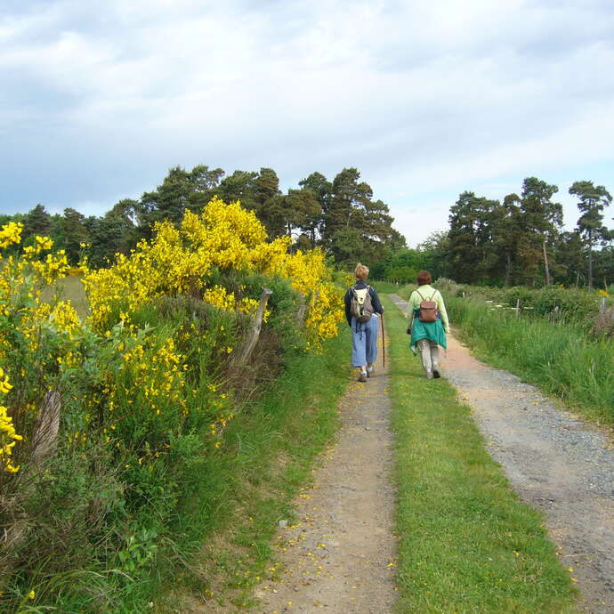 Le sentier botanique