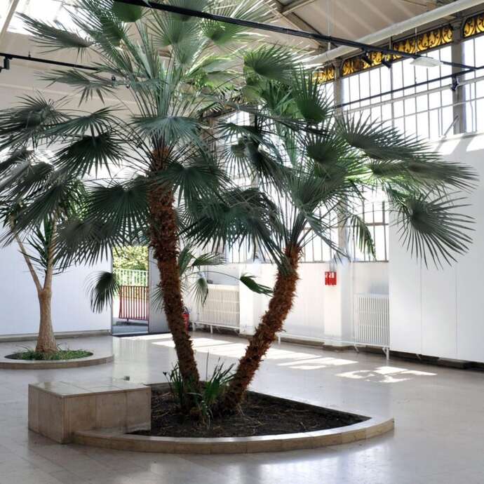 Exposition "De désir et de braise"