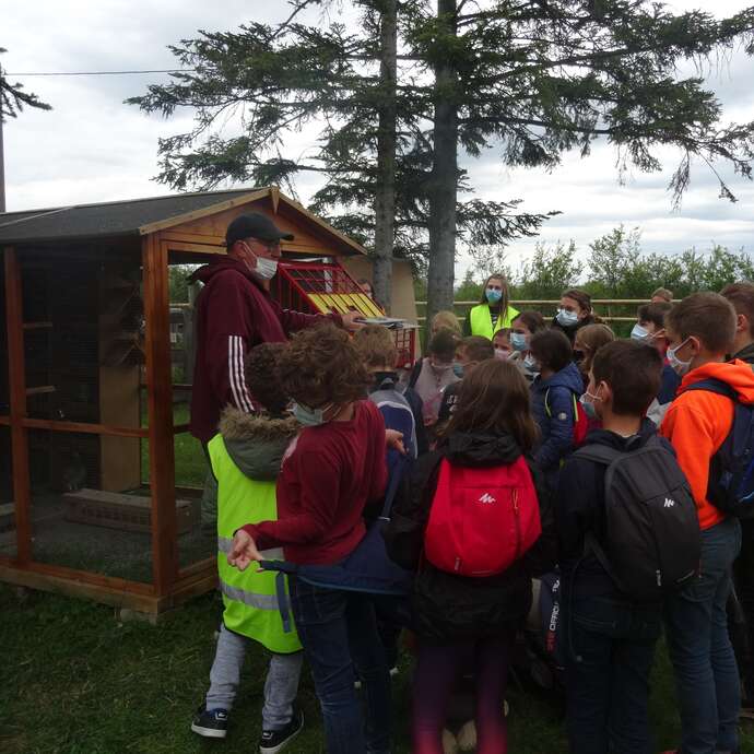 Tout connaître du pigeon - visite