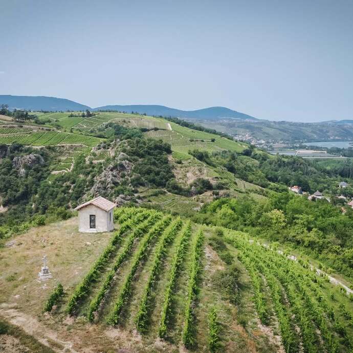 Apéro Vignes au Domaine Anthony Paret