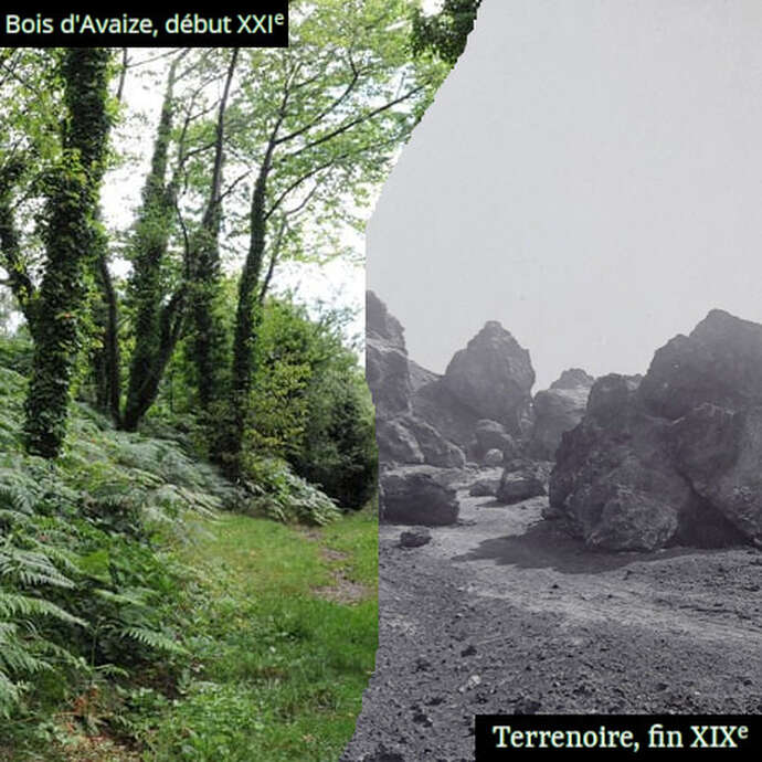 Balade - De la mine à la forêt