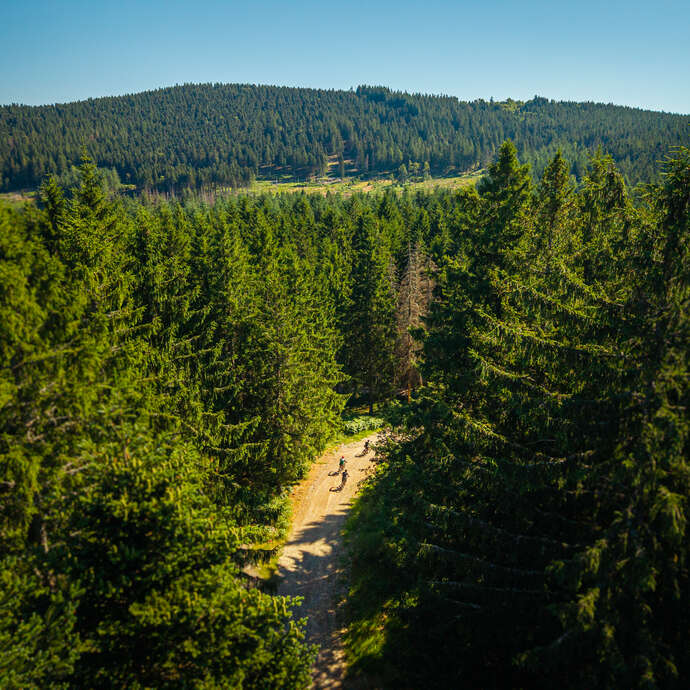 N°62 - Les deux boules - Espace VTT-FFC Massif des Bois Noirs