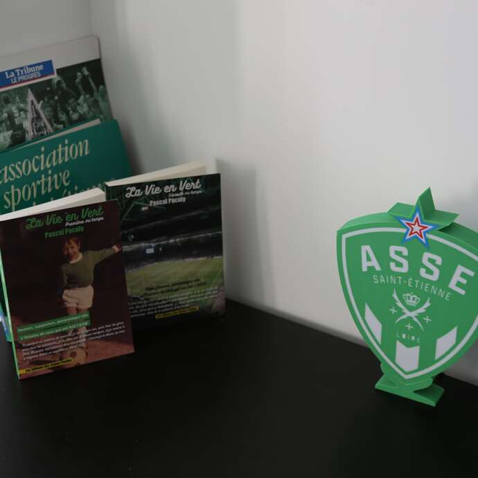 Studio cosy "Allez les verts"