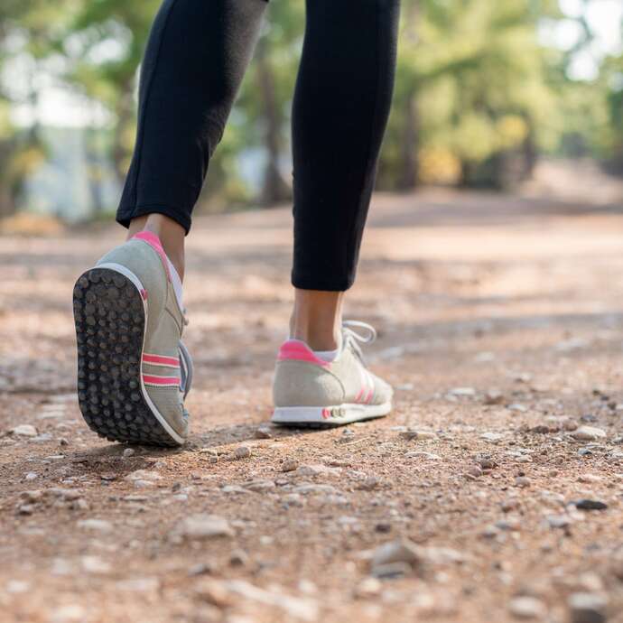 Balade guidée à la découverte des plantes