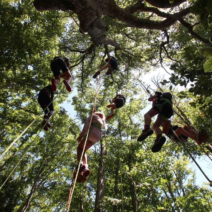 Printemps 2026 - Bougez dans le Pilat - Grimpe d'arbres (à partir de 10 ans) - Collet de Doizieux