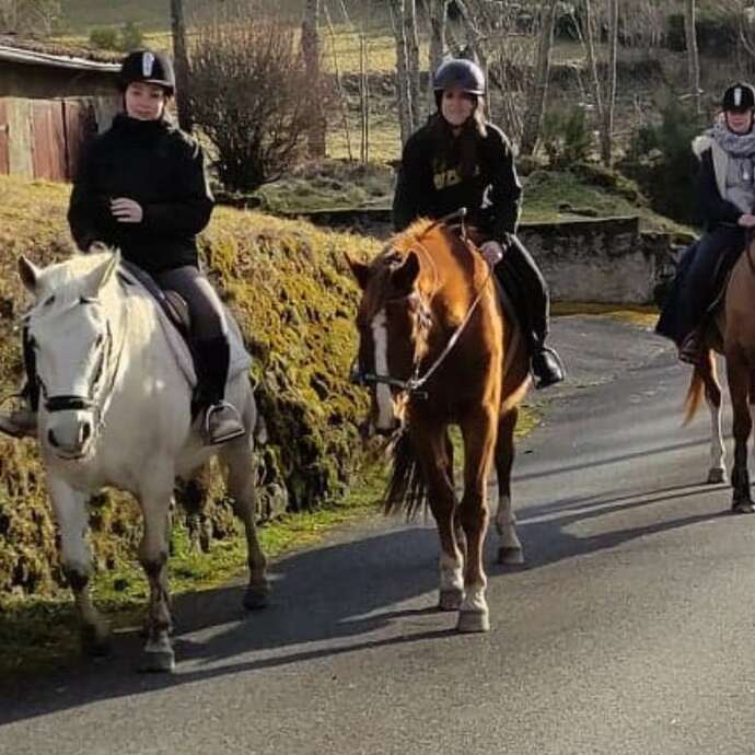 activités équestres - balades - médiation équine