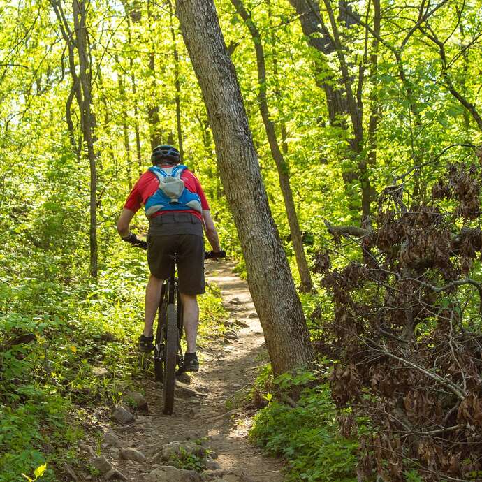 N°112 - Le belvédère du Forez - Espace VTT Montbrison-Monts du Forez