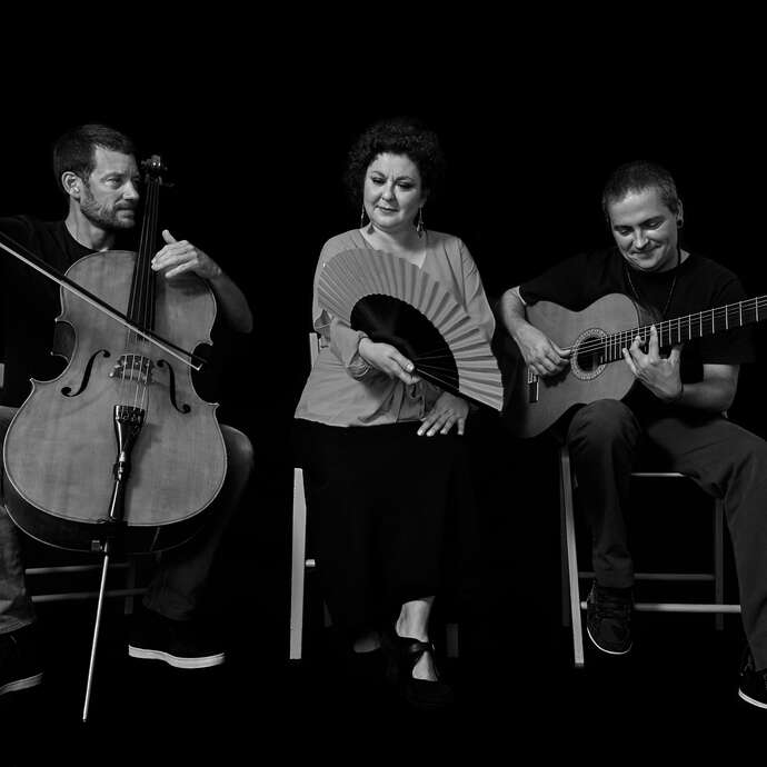 Concert - Amura Trio