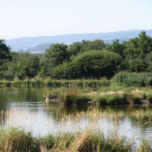 Réserve de Biterne / Maison des étangs du Forez