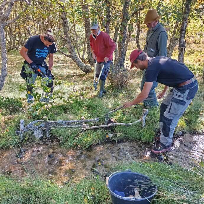 Chantier participatif