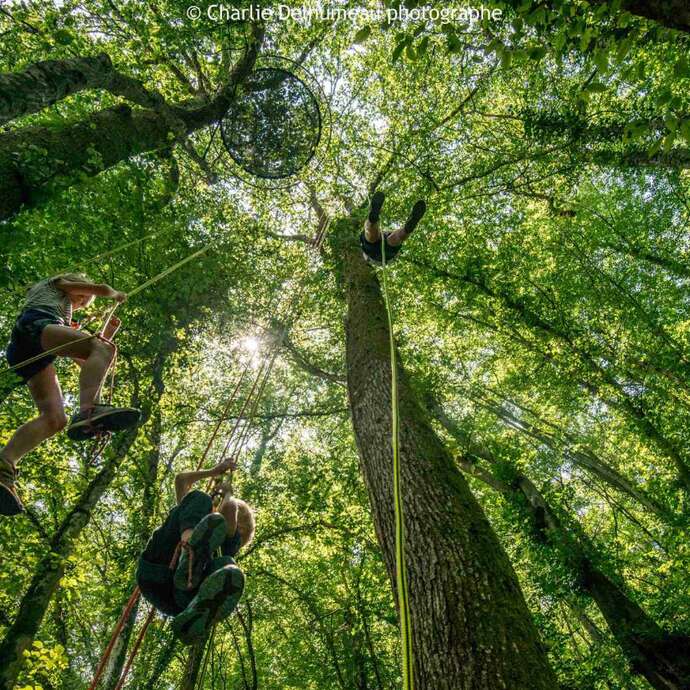 Quelques part dans une forêt pélussinoise