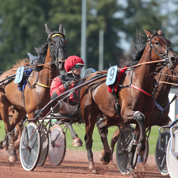 Hippodrome