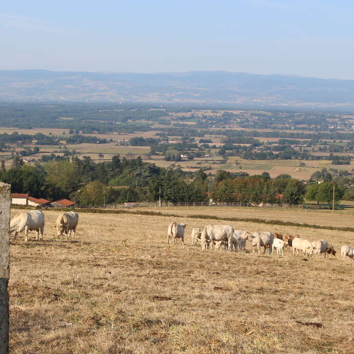 Sentier Les deux chapelles