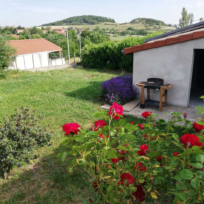La Loc du Viognier