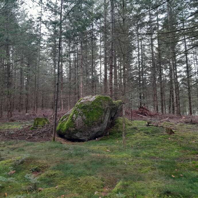 Balade contée d’Halloween