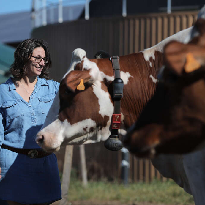 La Ferme des Délices Foréziens