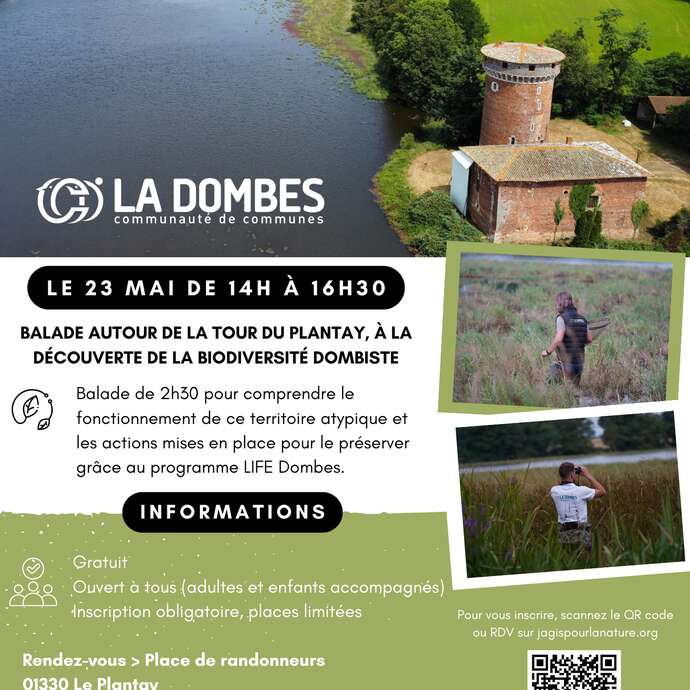 Balade nature en Dombes