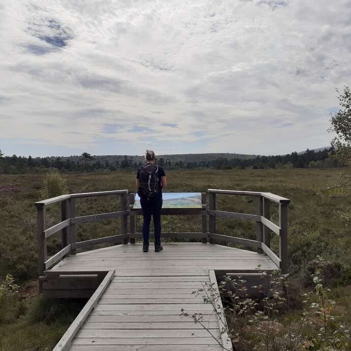 Tourbière de Sagne Bourrue