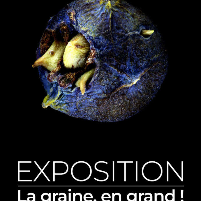 Festival Lignes de Crêtes : Soirée d'ouverture - vernissage de l'exposition "La graine, en grand!"