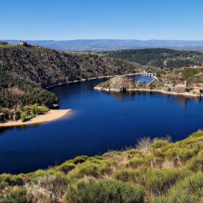 Balade crépusculaire à l’écoute des rapaces nocturnes de la Réserve