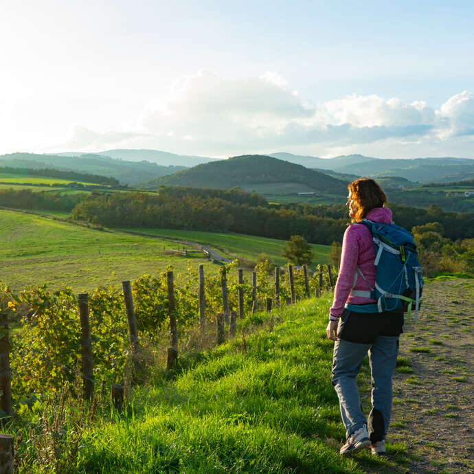 Balade au cœur des vignes - balade commentée