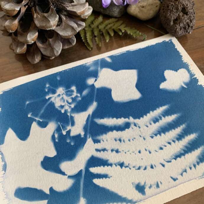 Atelier cyanotype
