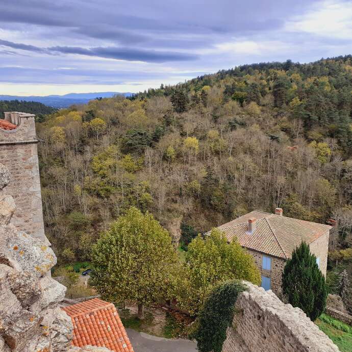 PR 36 - Chemin des Vignes