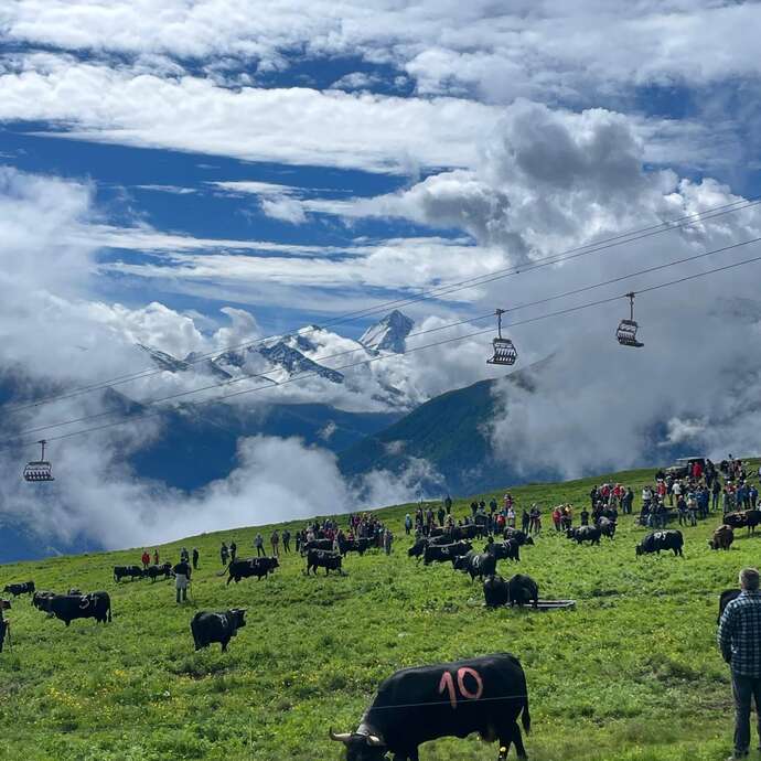 Inalpe der Alpage de Thyon