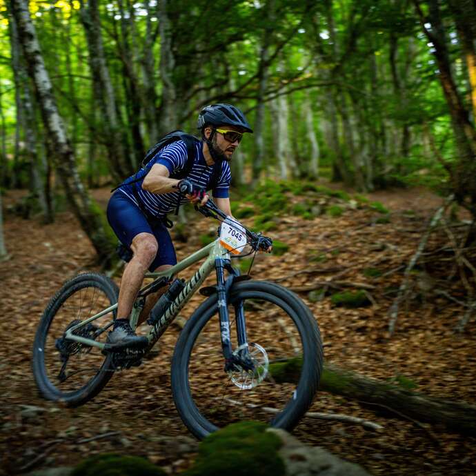 N°64 - Le Haut Forez - Espace VTT-FFC Massif des Bois Noirs