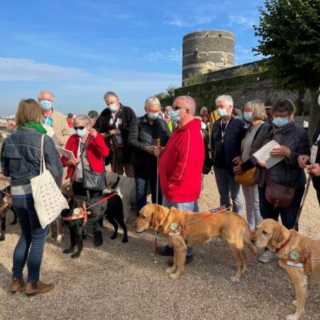 Visite commentée : Le château sur le bout des doigts