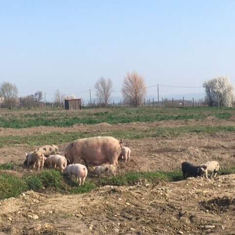 GAEC La ferme de Presles- Bertrand et Aurélie Clavelloux