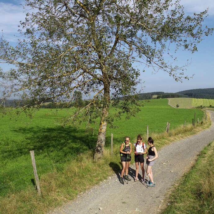 Chemin des crêtes Chemin des crêtes