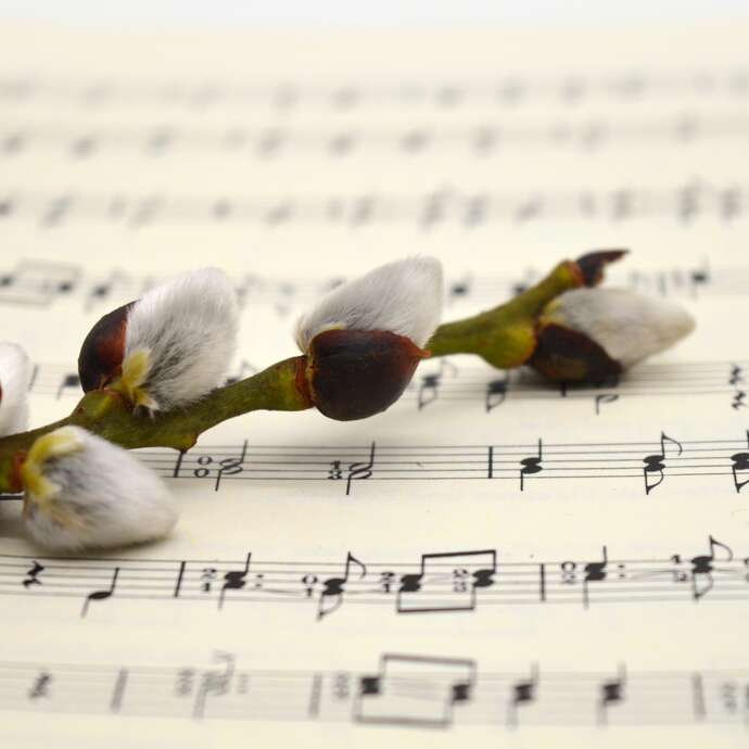 Concert Choral Alambichoeur