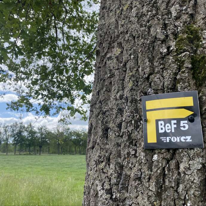 Sentier Les Caquignons