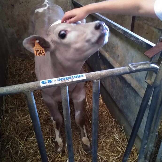 Visite de la ferme de La Place
